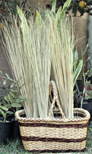 Load image into Gallery viewer, Hand Crafted Coconut Frond Brooms