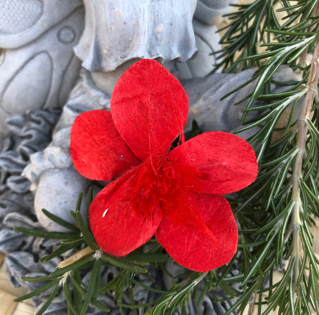 #tapaflower #redfrangipani #hairadornment #islandstyle